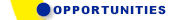 Mobile Franchise Opportunities